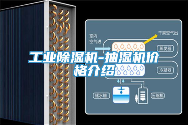 工業(yè)除濕機(jī)-抽濕機(jī)價(jià)格介紹