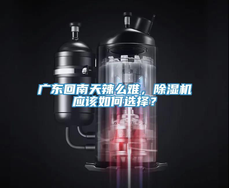 廣東回南天辣么難，除濕機(jī)應(yīng)該如何選擇？