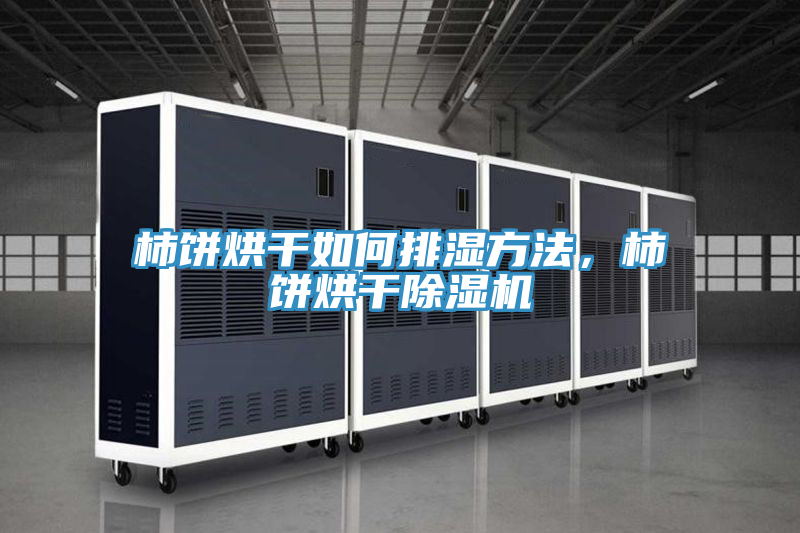 柿餅烘干如何排濕方法，柿餅烘干除濕機