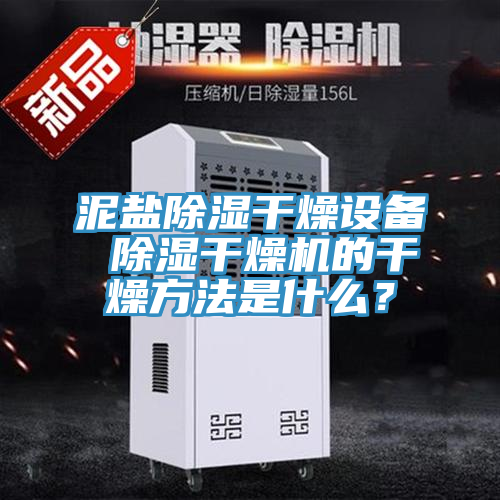 泥鹽除濕干燥設(shè)備 除濕干燥機的干燥方法是什么？