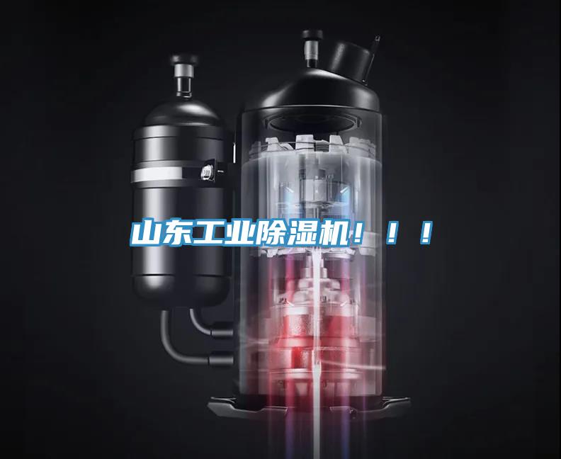 山東工業(yè)除濕機(jī)！??！