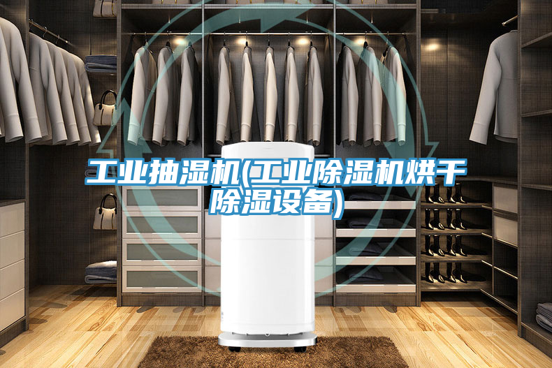 工業(yè)抽濕機(工業(yè)除濕機烘干除濕設(shè)備)