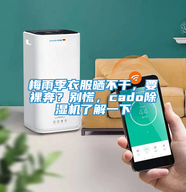 梅雨季衣服曬不干，要裸奔？別慌，cado除濕機(jī)了解一下