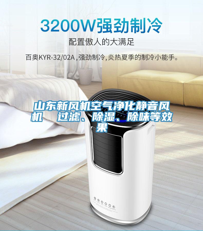 山東新風(fēng)機(jī)空氣凈化靜音風(fēng)機(jī)  過濾、除濕、除味等效果