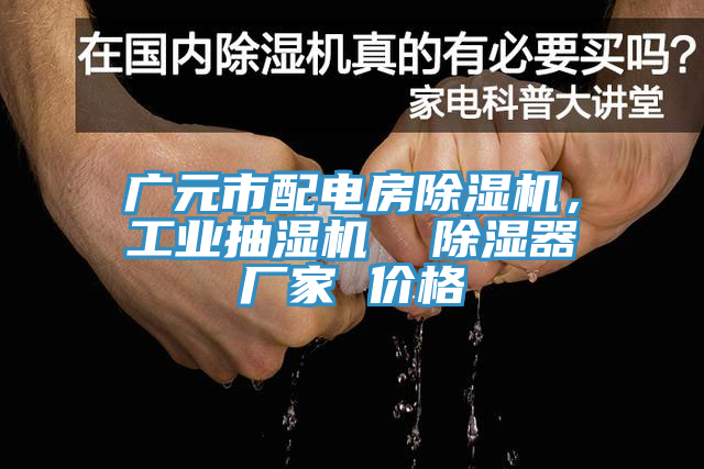 廣元市配電房除濕機，工業(yè)抽濕機  除濕器廠家 價格