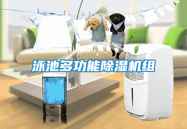 泳池多功能除濕機組