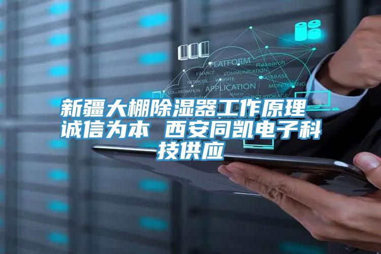 新疆大棚除濕器工作原理 誠信為本 西安同凱電子科技供應(yīng)