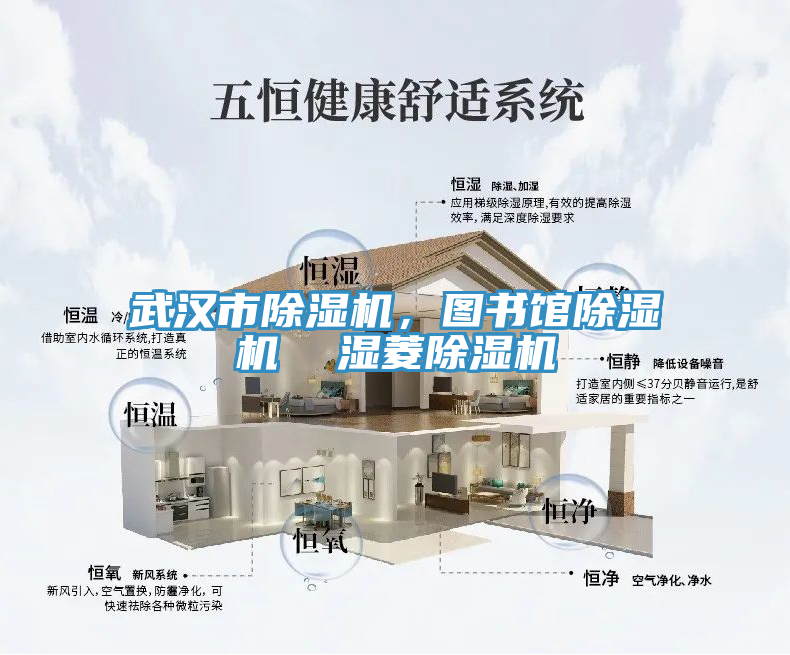 武漢市除濕機(jī)，圖書館除濕機(jī)  濕菱除濕機(jī)