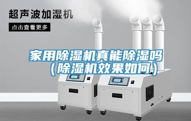 家用除濕機(jī)真能除濕嗎（除濕機(jī)效果如何）