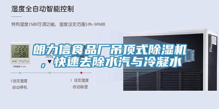 朗力信食品廠吊頂式除濕機，快速去除水汽與冷凝水