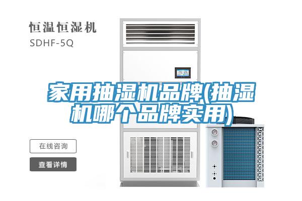 家用抽濕機(jī)品牌(抽濕機(jī)哪個品牌實(shí)用)