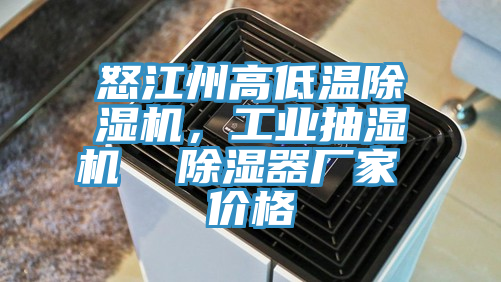 怒江州高低溫除濕機(jī)，工業(yè)抽濕機(jī)  除濕器廠家 價(jià)格