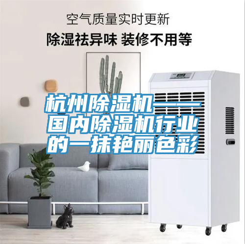 杭州除濕機(jī)——國(guó)內(nèi)除濕機(jī)行業(yè)的一抹艷麗色彩