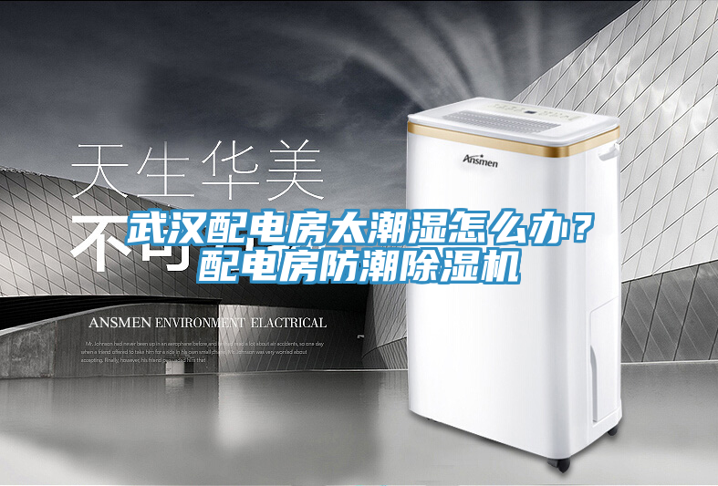 武漢配電房太潮濕怎么辦？配電房防潮除濕機(jī)
