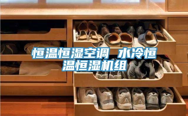 恒溫恒濕空調(diào) 水冷恒溫恒濕機(jī)組
