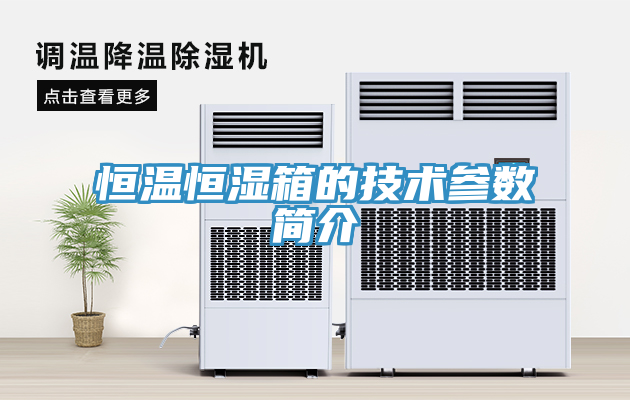 恒溫恒濕箱的技術(shù)參數(shù)簡(jiǎn)介