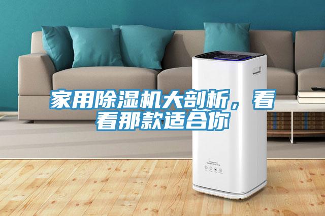 家用除濕機大剖析，看看那款適合你