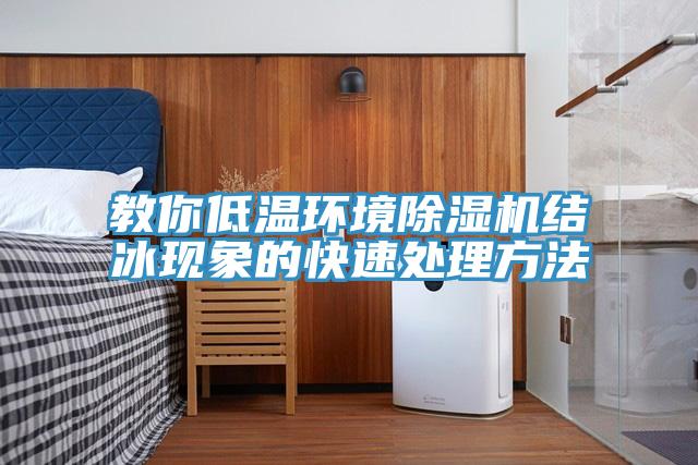 教你低溫環(huán)境除濕機結(jié)冰現(xiàn)象的快速處理方法