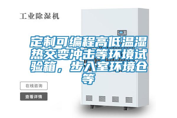 定制可編程高低溫濕熱交變沖擊等環(huán)境試驗(yàn)箱，步入室環(huán)境倉等