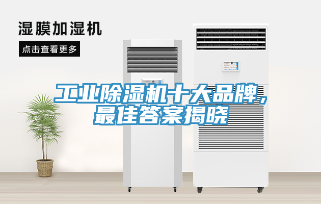 工業(yè)除濕機(jī)十大品牌，最佳答案揭曉