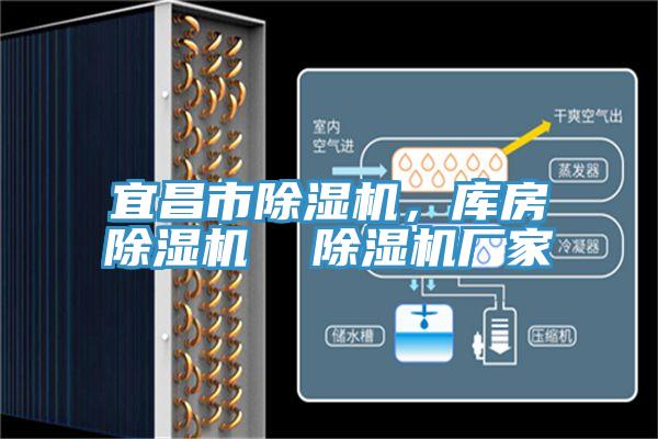 宜昌市除濕機(jī)，庫房除濕機(jī)  除濕機(jī)廠家