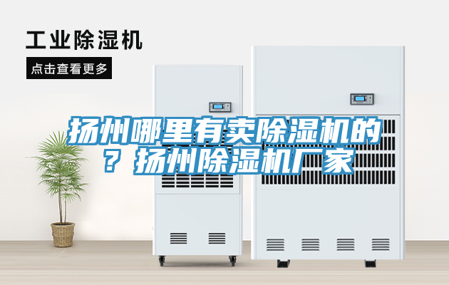 揚(yáng)州哪里有賣除濕機(jī)的？揚(yáng)州除濕機(jī)廠家