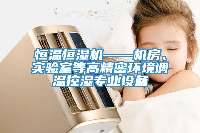 恒溫恒濕機(jī)——機(jī)房、實(shí)驗(yàn)室等高精密環(huán)境調(diào)溫控濕專業(yè)設(shè)備