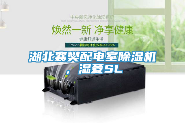 湖北襄樊配電室除濕機，濕菱SL