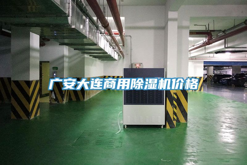 廣安大連商用除濕機價格