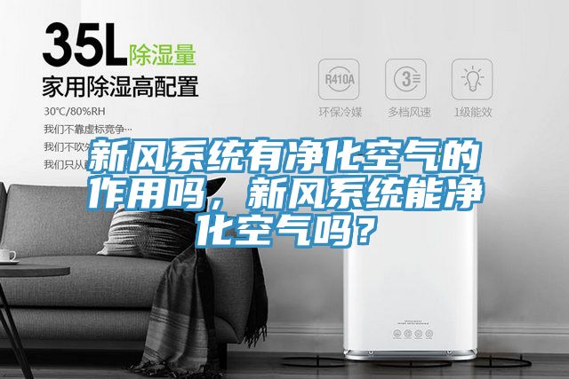 新風系統(tǒng)有凈化空氣的作用嗎，新風系統(tǒng)能凈化空氣嗎？