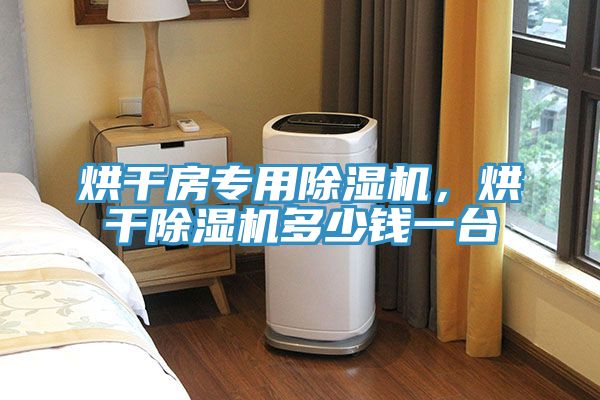 烘干房專用除濕機(jī)，烘干除濕機(jī)多少錢一臺(tái)