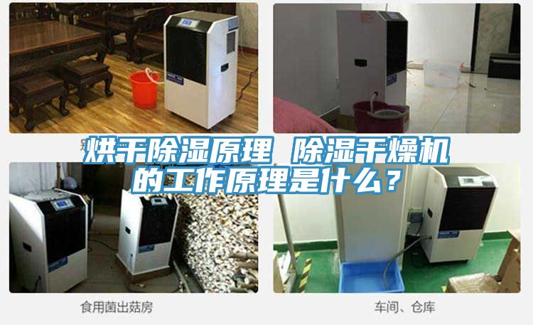 烘干除濕原理 除濕干燥機(jī)的工作原理是什么？