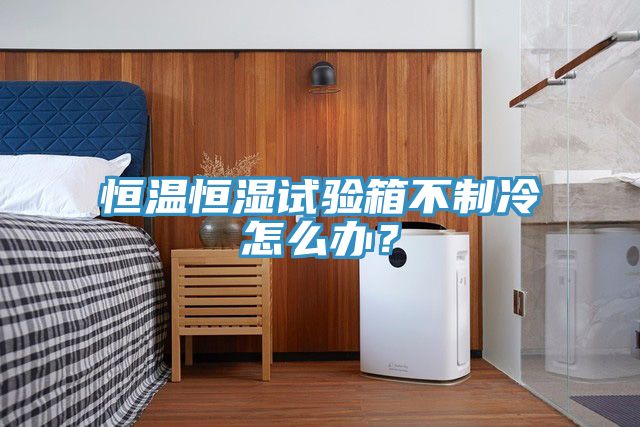 恒溫恒濕試驗(yàn)箱不制冷怎么辦？