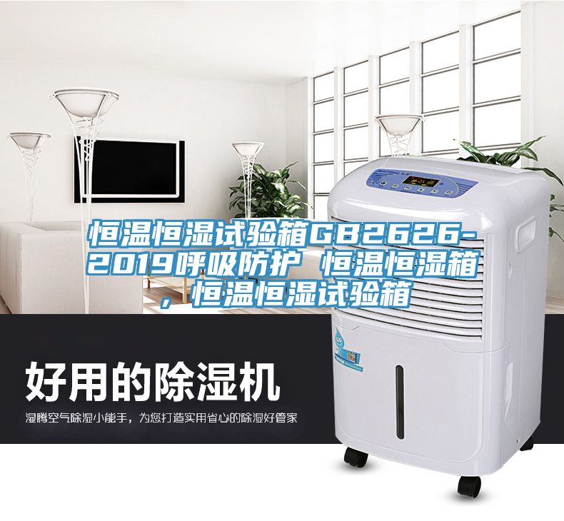 恒溫恒濕試驗箱GB2626-2019呼吸防護(hù) 恒溫恒濕箱，恒溫恒濕試驗箱