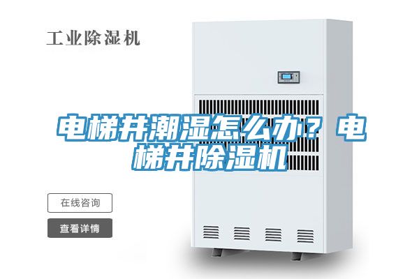 電梯井潮濕怎么辦？電梯井除濕機(jī)