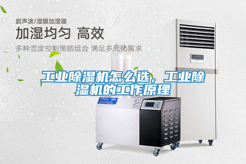 工業(yè)除濕機(jī)怎么選，工業(yè)除濕機(jī)的工作原理