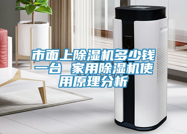 市面上除濕機多少錢一臺 家用除濕機使用原理分析