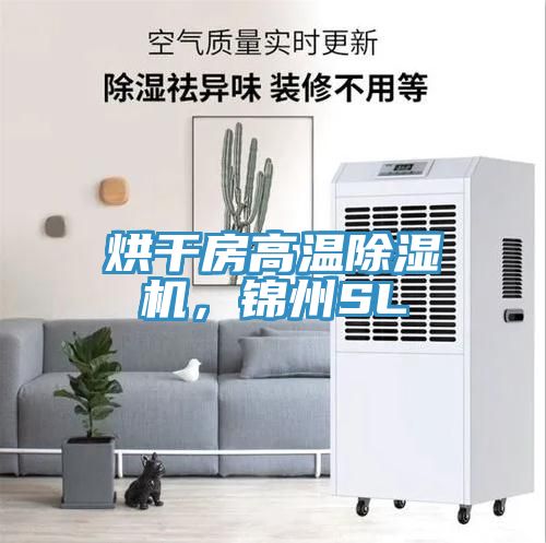 烘干房高溫除濕機(jī)，錦州SL