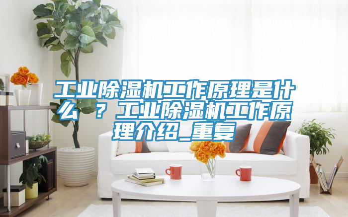 工業(yè)除濕機(jī)工作原理是什么 ？工業(yè)除濕機(jī)工作原理介紹_重復(fù)