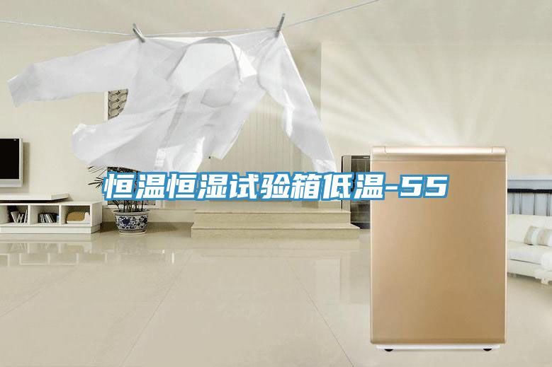 恒溫恒濕試驗(yàn)箱低溫-55℃