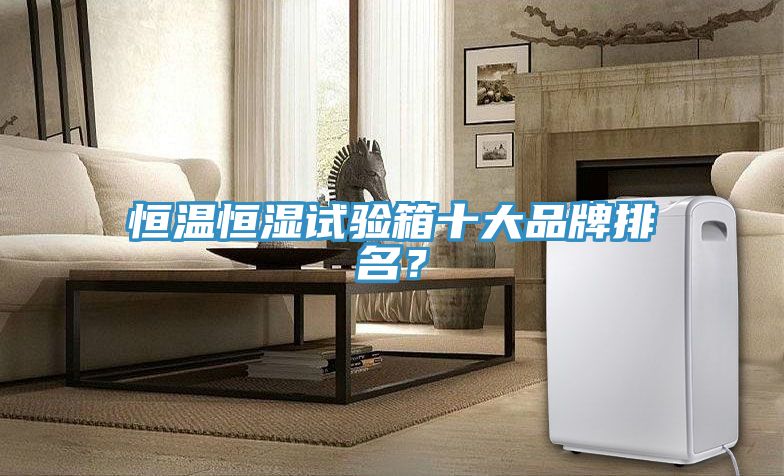 恒溫恒濕試驗(yàn)箱十大品牌排名？