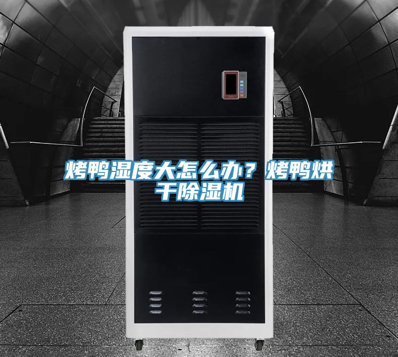 烤鴨濕度大怎么辦？烤鴨烘干除濕機(jī)