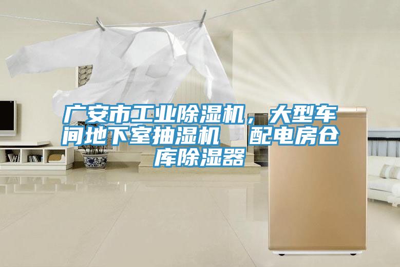 廣安市工業(yè)除濕機，大型車間地下室抽濕機  配電房倉庫除濕器