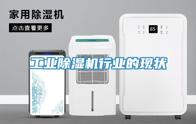 工業(yè)除濕機行業(yè)的現(xiàn)狀