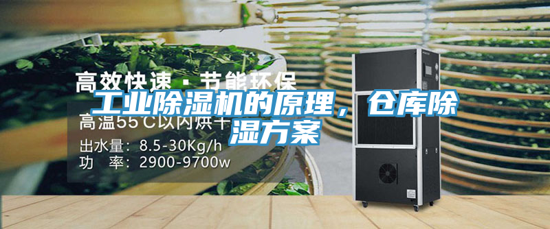 工業(yè)除濕機的原理，倉庫除濕方案
