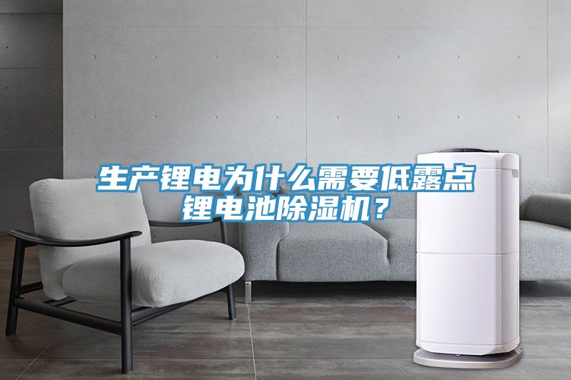 生產(chǎn)鋰電為什么需要低露點(diǎn)鋰電池除濕機(jī)？