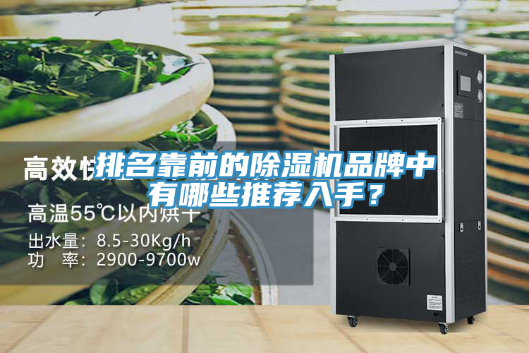 排名靠前的除濕機品牌中有哪些推薦入手？