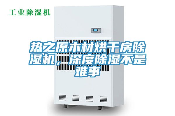 熱之原木材烘干房除濕機(jī)，深度除濕不是難事