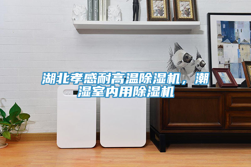 湖北孝感耐高溫除濕機，潮濕室內用除濕機