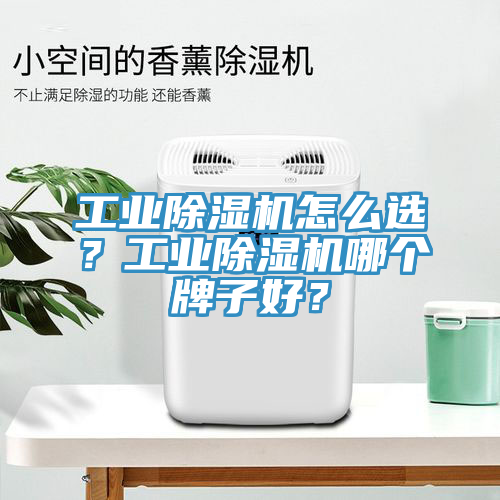 工業(yè)除濕機(jī)怎么選？工業(yè)除濕機(jī)哪個(gè)牌子好？